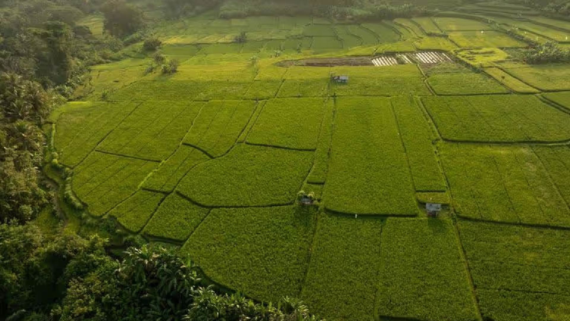 bali_loabitour_verde_2