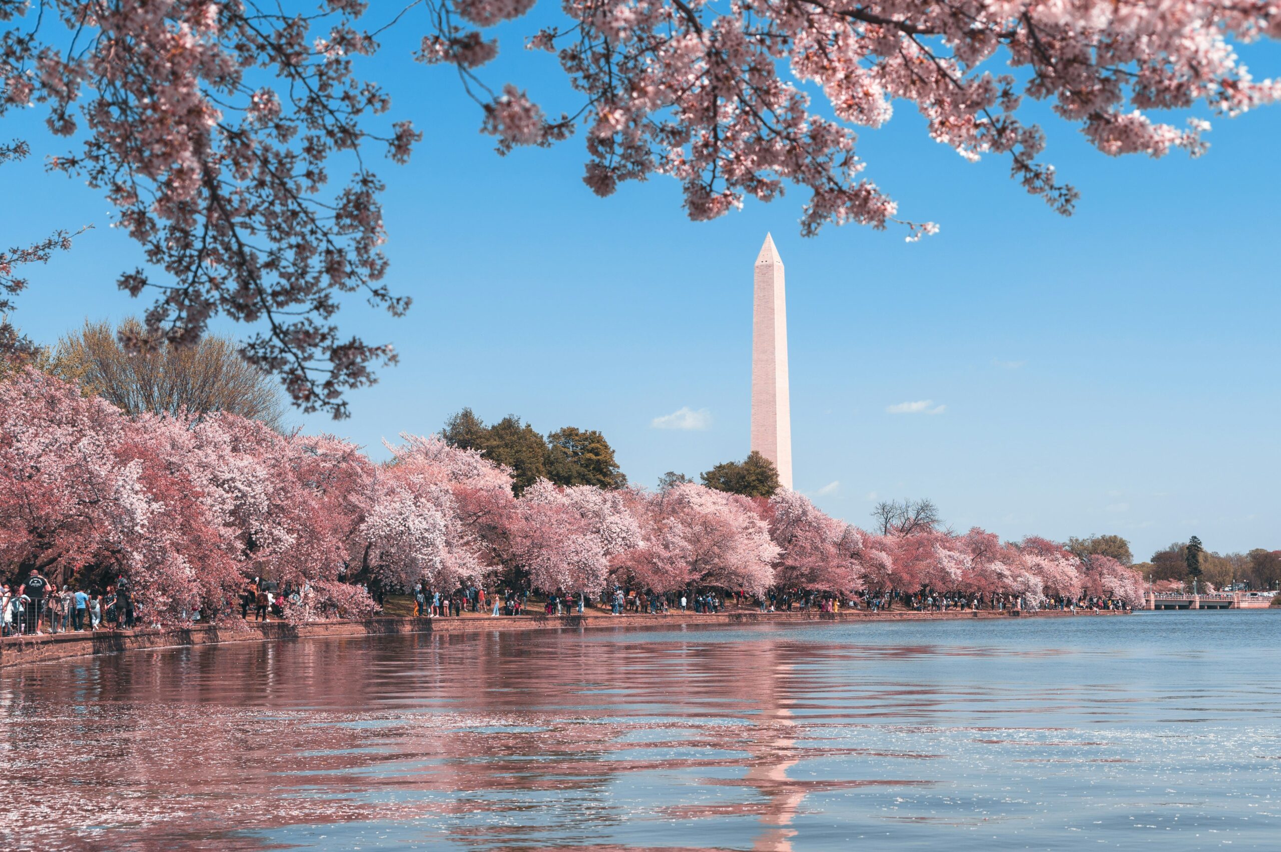 USA_Loabitour_Washington