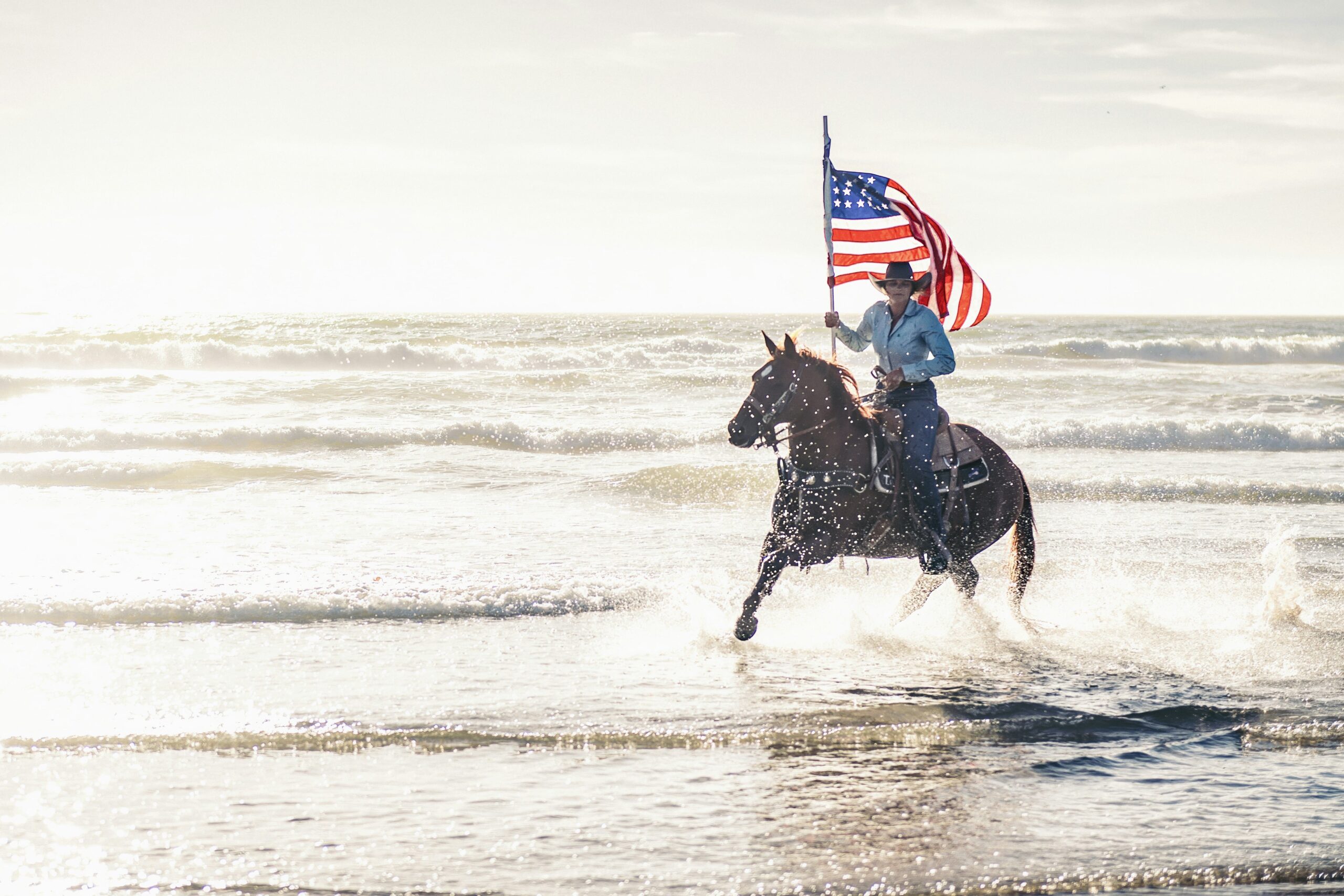 USA_Loabitour_americanho0rse