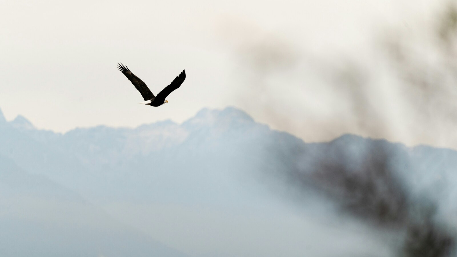 canada_ovest_loabitour_aquila