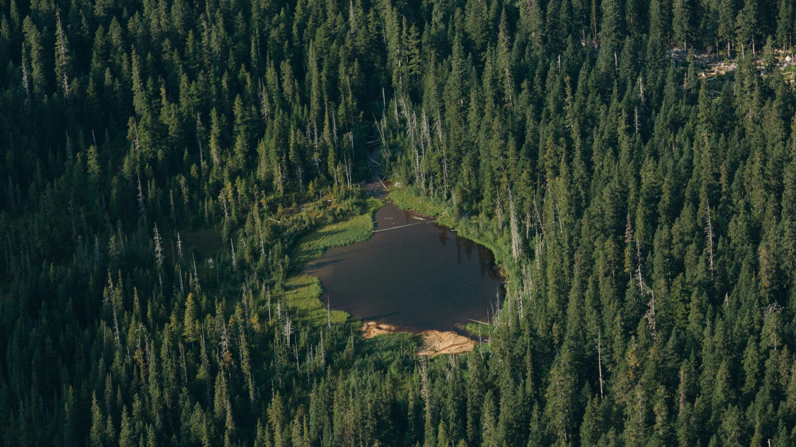 canada_ovest_loabitour_laghetto