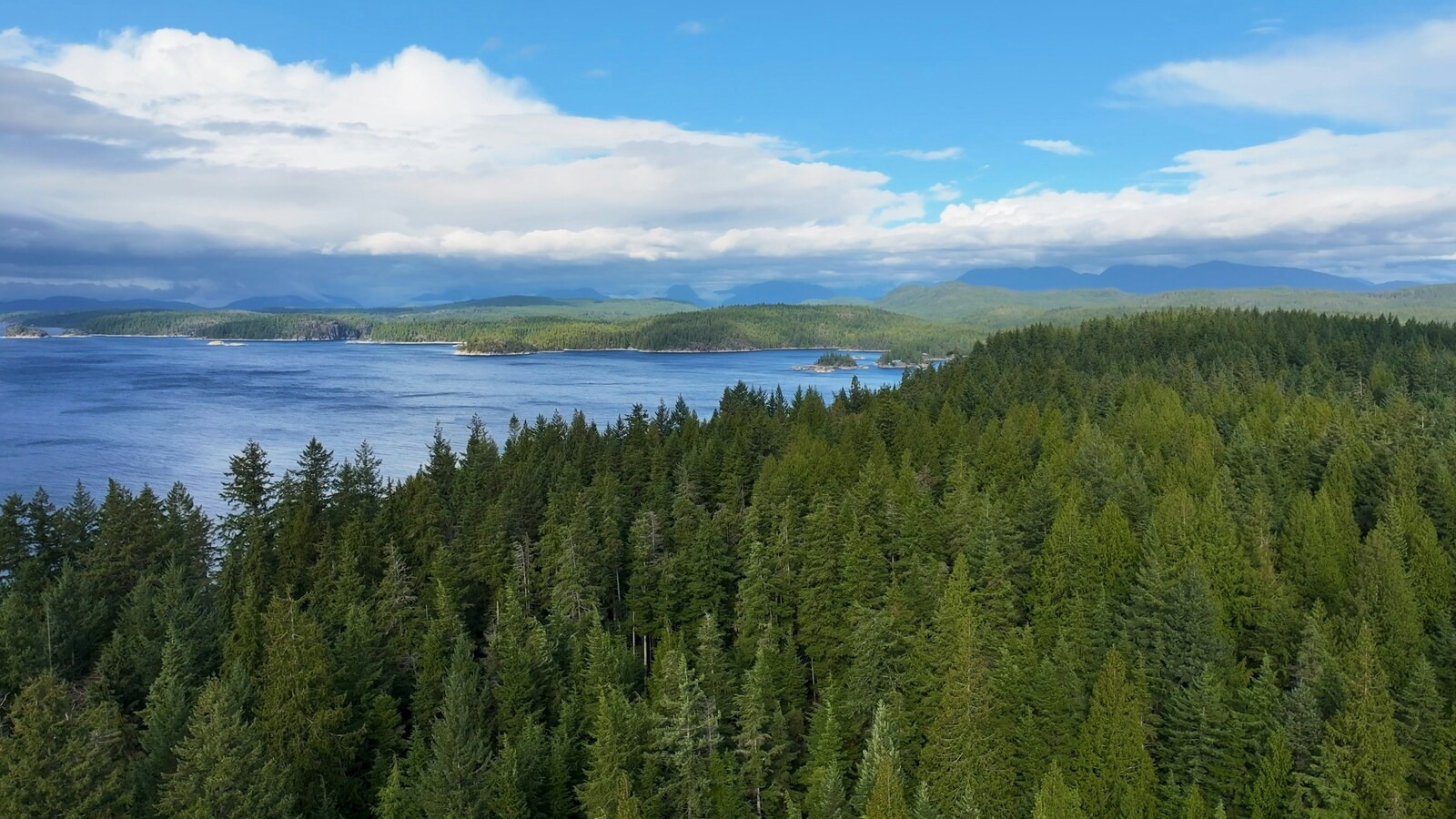 canada_ovest_loabitour_pini