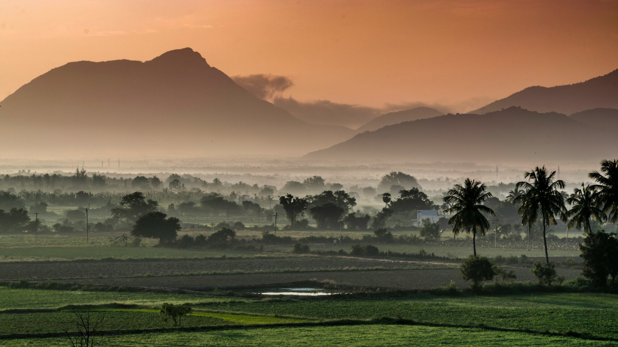 india_loabitour_prato