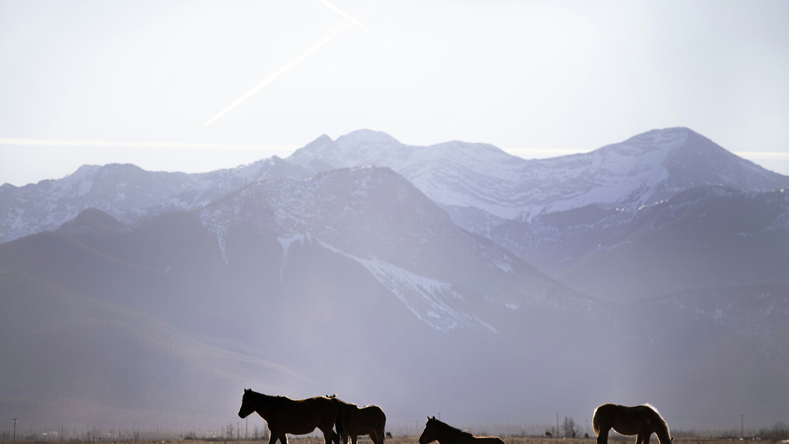 sawyer-B9G-LswbTcU-unsplash