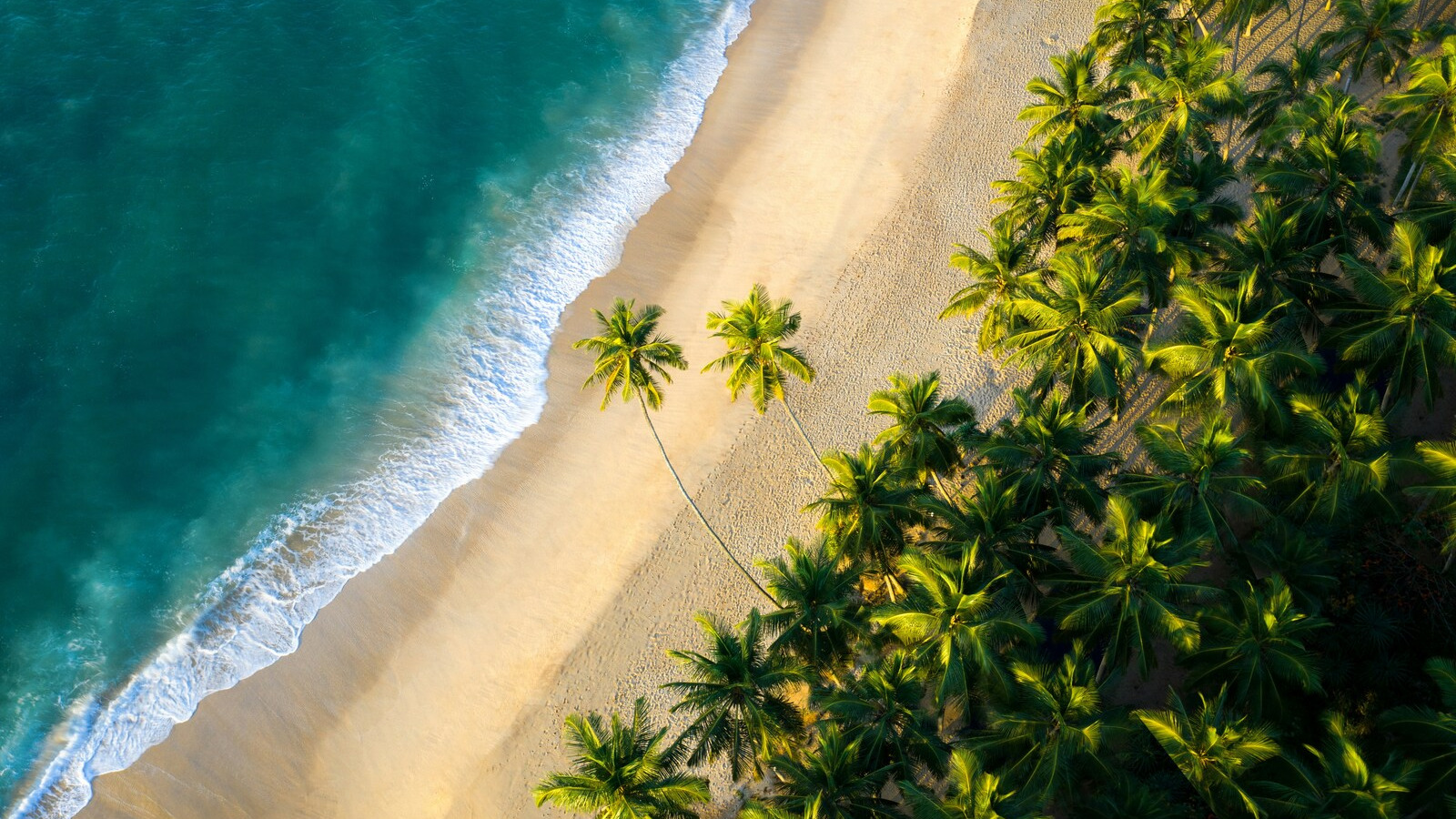 srilanka_loabitour_spiaggia